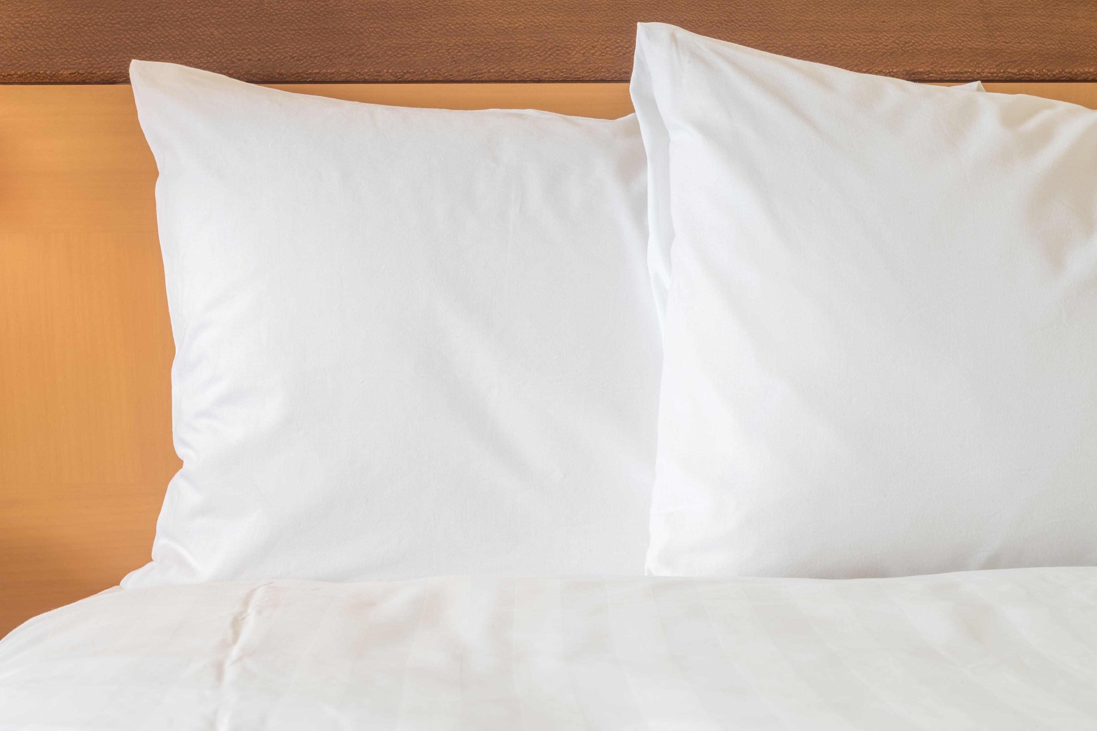 Holiday Inn Express & Suites Ludington By Ihg Eksteriør bilde